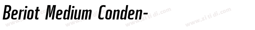 Beriot Medium Conden字体转换